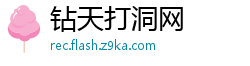 钻天打洞网